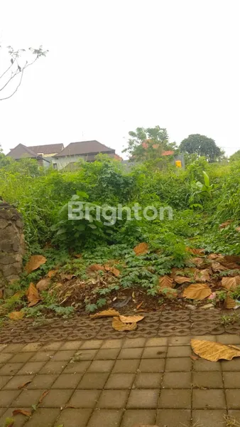 image POSISI HOOK, BALI ARUM MAS (2)