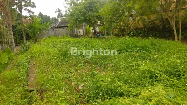 image POSISI HOOK, BALI ARUM MAS (3)