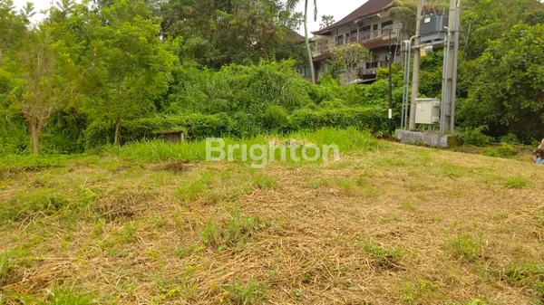 image POSISI HOOK, BALI ARUM MAS (6)