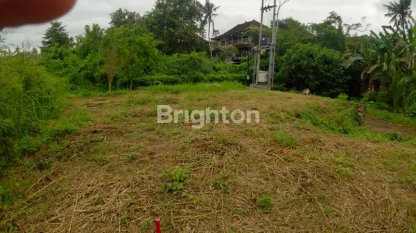 image POSISI HOOK, BALI ARUM MAS (7)