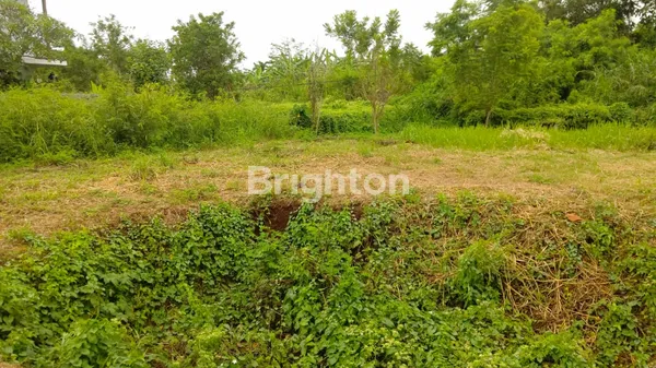 image POSISI HOOK, BALI ARUM MAS (8)