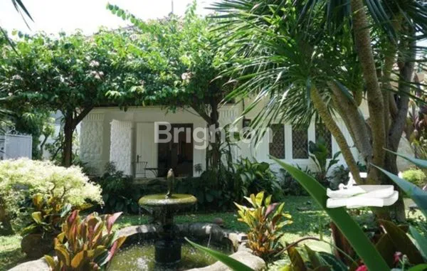 image RUMAH ASRI DI MENTENG JAKARTA PUSAT (1)