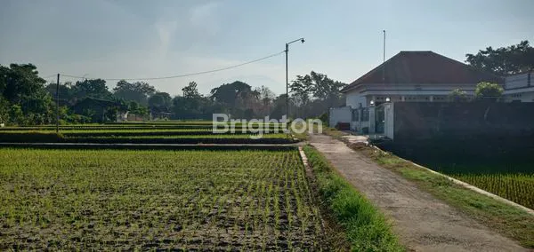 image TANAH SAWAH TEGAL GEDE, KARANGANYAR (3)