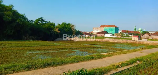 image TANAH SAWAH TEGAL GEDE, KARANGANYAR (1)