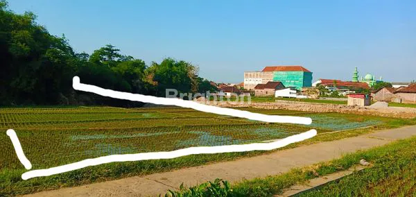 image TANAH SAWAH TEGAL GEDE, KARANGANYAR (4)