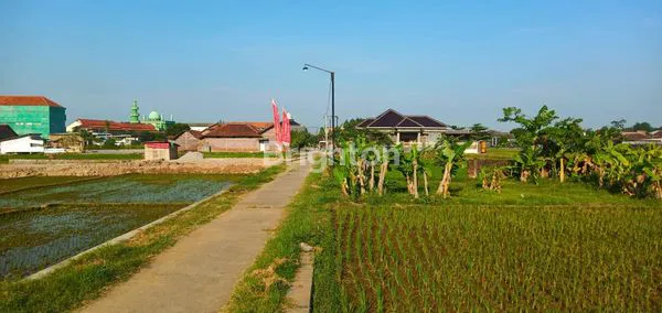 image TANAH SAWAH TEGAL GEDE, KARANGANYAR (5)