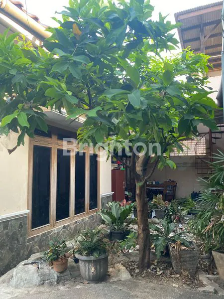 image HUNIAN CANTIK 1 LANTAI, LUAS, AMAN, NYAMAN, LOKASI STRATEGIS  (6)