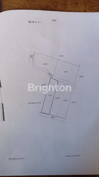 image TANAH SAWAH, DI KEMASAN POLOKARTO SUKOHARJO (2)