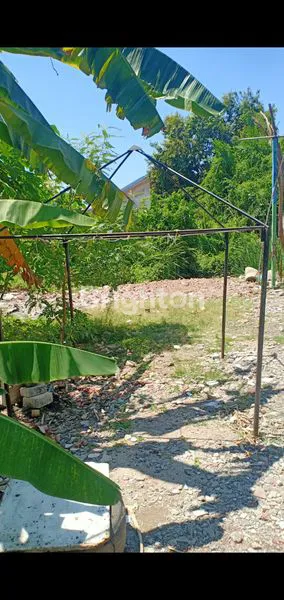 Gambar Property TANAH SIAP BANGUN