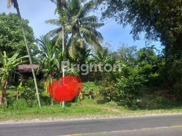 image TANAH 1,8 HA ADA SUMBER MATA AIR (3)