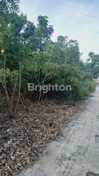 image DIJUAL CEPAT TANAH LUAS 2000M DI SEROJA (2)