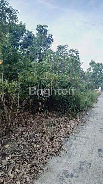 image DIJUAL CEPAT TANAH LUAS 2000M DI SEROJA (3)