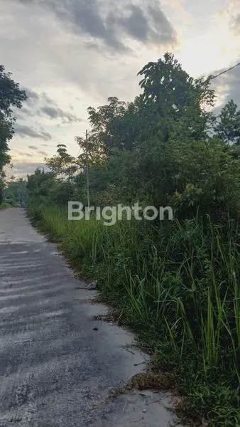 image DIJUAL CEPAT TANAH LUAS 2000M DI SEROJA (5)