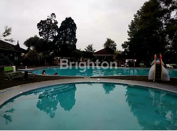 image VILLA SEJUK LUAS CIPANAS PUNCAK KOTA BUNGA INDO ALAM (6)