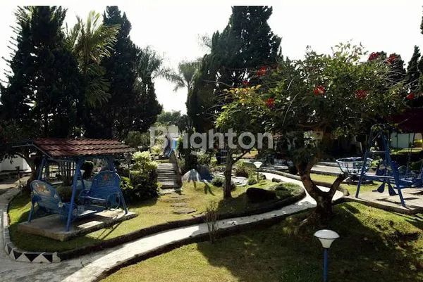 image VILLA SEJUK LUAS CIPANAS PUNCAK KOTA BUNGA INDO ALAM (7)