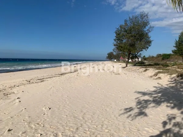 TANAH PARIWISATA PINGGIR PANTAI DI SUMBA BARAT DAYA NUSA TENGGARA TIMUR