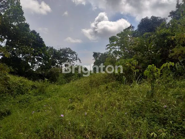 image TANAH 1809 M, VIEW PEGUNUNGAN (2)