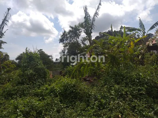 image TANAH 1809 M, VIEW PEGUNUNGAN (4)