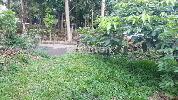 image BNR-BOGOR.DIJUAL TANAH .HARGA NEGO SAMPAI DEAL\U203C\UFE0F (4)