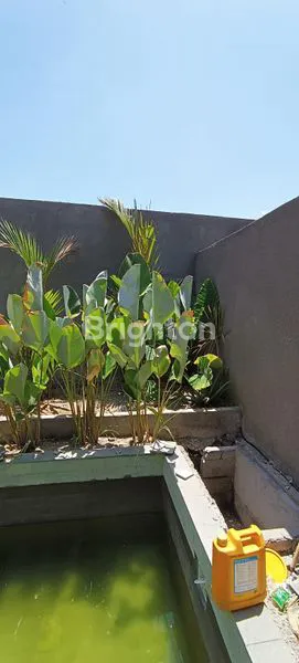 image 1 KAMAR TIDUR MEZANINE DI SIDAKARYA DEKAT SANUR (7)