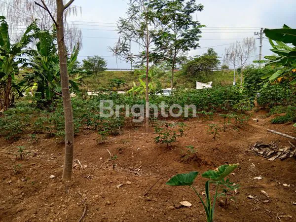 image TANAH CANTIK SANGAT STRATEGIS (4)