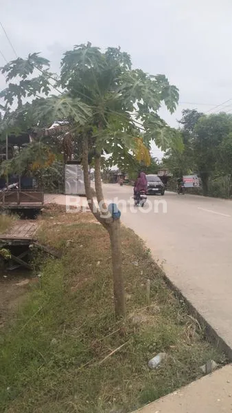 TANAH DIPINGGIR JALAN UTAMA