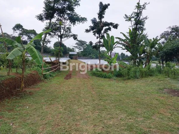 image LAHAN LUAS COCOK UNTUK INVESTASI WANAYASA PURWAKARTA (6)