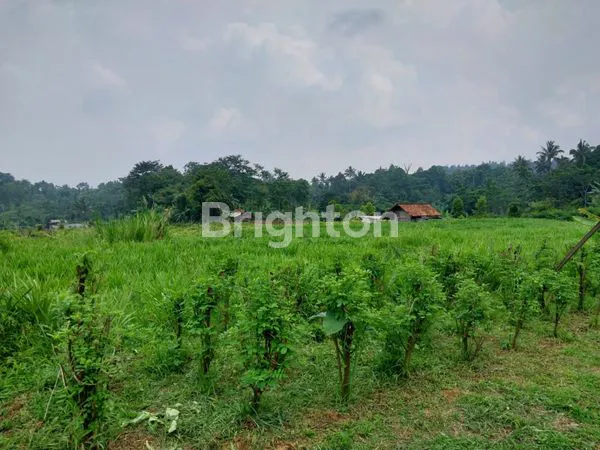 image LAHAN LUAS COCOK UNTUK INVESTASI WANAYASA PURWAKARTA (7)