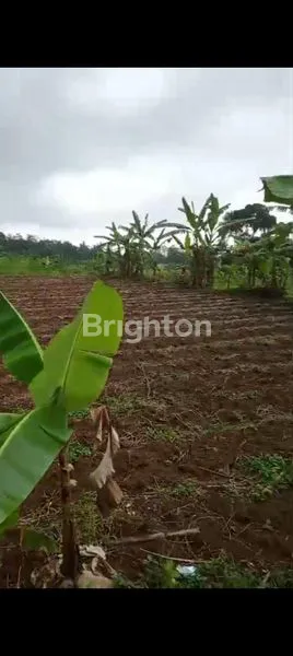 DIJUAL TANAH 1,5 HEKTAR LOKASI BOGOR