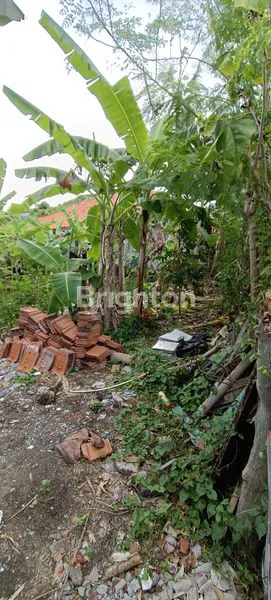 image TANAH PREMIUM 4 ARE TENGAH KOTA PEMUKIMAN UNTUK INVESTASI (5)