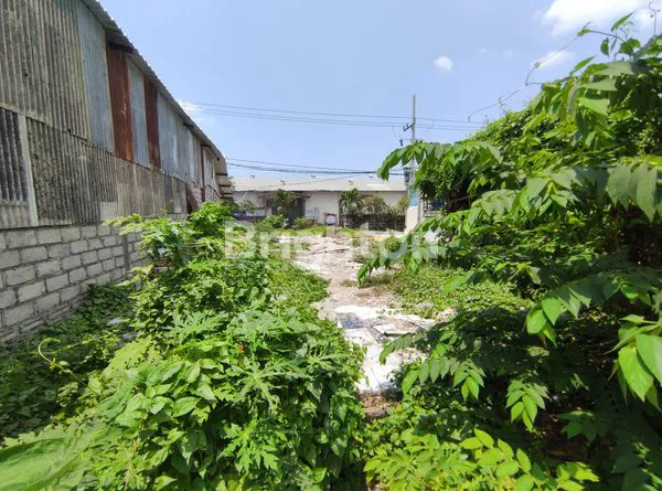image TANAH 7 ARE DISEWAKAN DI JALAN CARGO (4)