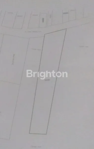 image TANAH LIDAH WETAN (2)