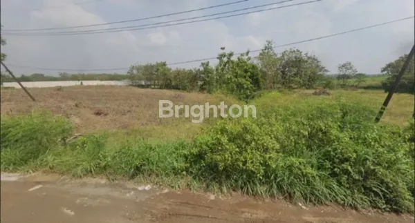 image TANAH LUAS COCOK UNTUK PABRIK DEKAT DENGAN TOL MOJOKERTO (1)