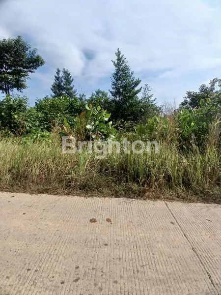 image TANAH CANTIK  COCOK UNTUK GUDANG, WORKSHOP  DI PULAU BALANG   (3)