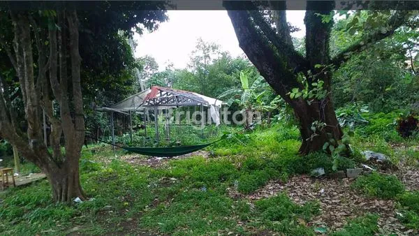 image TANAH DI PARUNG (3)