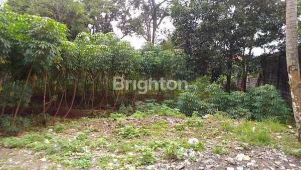 image TANAH DI PARUNG (4)