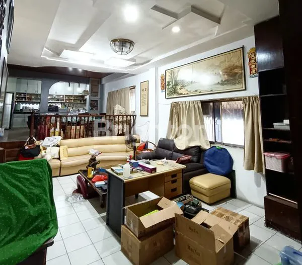 image RUKO JUMBO (7)