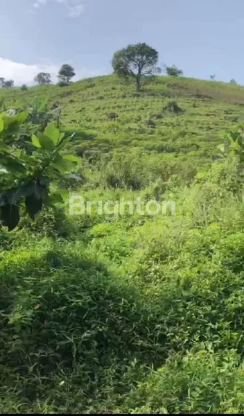 image TANAH CITEREUP, BOGOR, COCOK UNTUK PERUMAHAN (5)