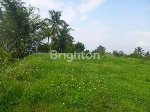 image TANAH DATAR SIAP BANGUN AREA UNGARAN BARAT (2)