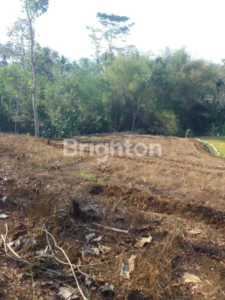 TANAH LUAS DESA NGAJUM KABUPATEN MALANG