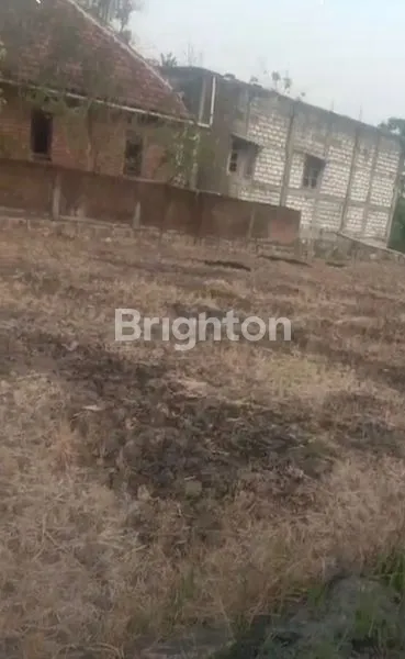 image TANAH PRODUKTIF DI GRESIK (1)