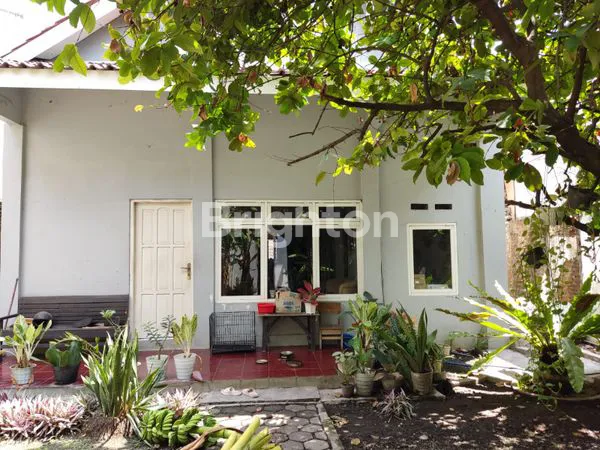 image DIJUAL RUMAH DI TENGAH KOTA SEMARANG (4)