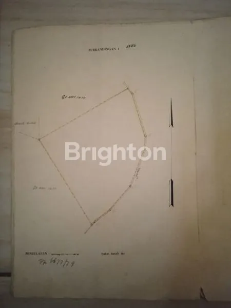 image JUAL KAVLING PERKEBUNAN LUAS DI CIPADA (3)