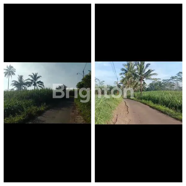 image TANAH KEBUN TEBU JATIKERTO KEC KROMENGAN DEKAT RS RAMDANI  KAB MALANG. (2)