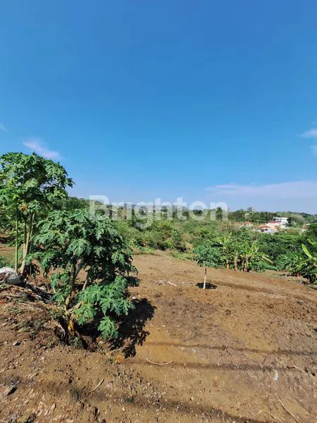 image TANAH DI JALAN RAYA SAMPANGAN- UNNES GUNUNGPATI SEMARANG (3)