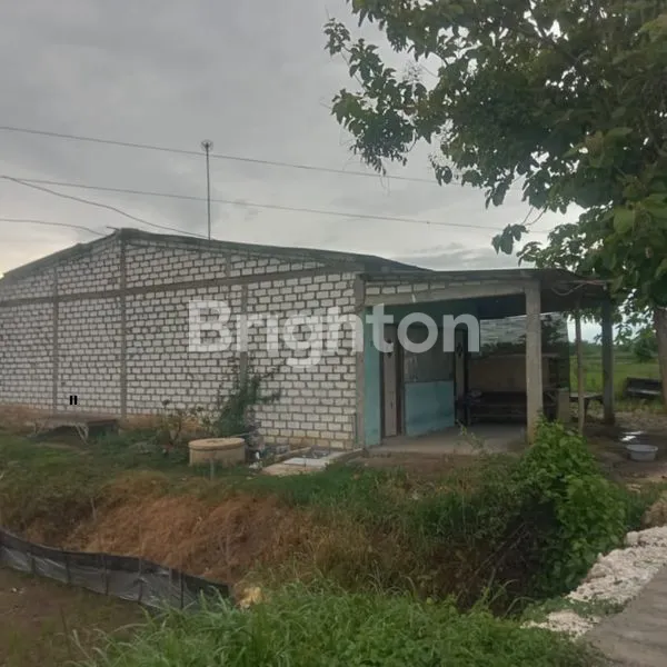 image TAMBAK 1HA DI PERBATASAN GRESIK - LAMONGAN || HANYA 78RIBU/METER (1)