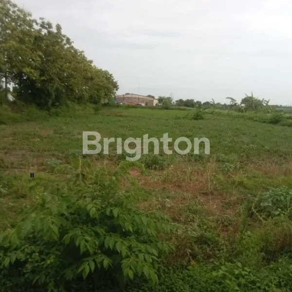 image TAMBAK 1HA DI PERBATASAN GRESIK - LAMONGAN || HANYA 78RIBU/METER (3)