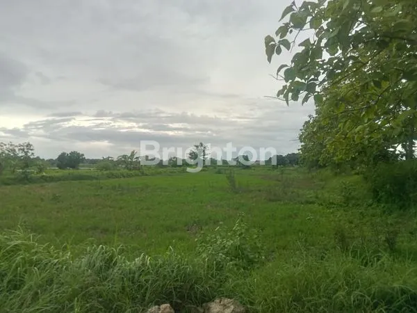 image TAMBAK 1HA DI PERBATASAN GRESIK - LAMONGAN || HANYA 78RIBU/METER (4)