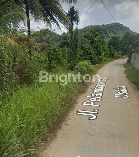 image DIJUAL KAVLING MURAH DAERAH LOA BUAH SAMARINDA (1)