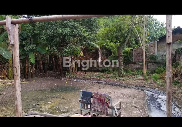 image DIJUAL TANAH DIJALAN RAYA MADIUN KOTA (2)